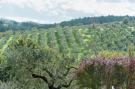 FerienhausItalien - : Sangiovese