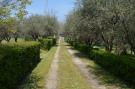 Holiday homeItaly - : Villa degli Ulivi