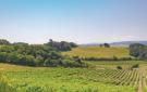 Holiday homeItaly - : Castelfiorentino -FI-