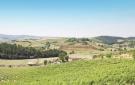 Holiday homeItaly - : Castelfiorentino -FI-