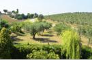 Holiday homeItaly - : Villa Maria Teresa