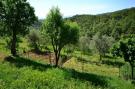 Holiday homeItaly - : Trebbiano