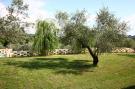 Holiday homeItaly - : Ulivo