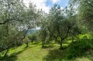 Holiday homeItaly - : Casa Sole