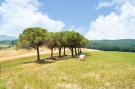 Holiday homeItaly - : Oliveta