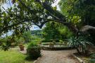 Holiday homeItaly - : Casa La Fioraia