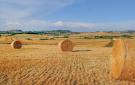 FerienhausItalien - : Casale La Torretta