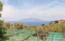 Holiday homeItaly - : Villa La Limonaia