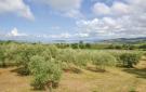 Holiday homeItaly - : Greppo A