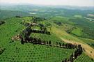 Holiday homeItaly - : Cardellino