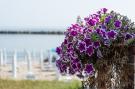 Holiday homeItaly - : Adriatico Superior