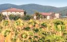 Holiday homeItaly - : Ibiscus