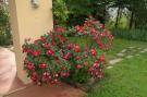 Holiday homeItaly - : La Selva