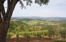 Holiday homeItaly - : Sanlucchese 1