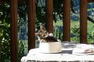 Holiday homeItaly - : La Dimora