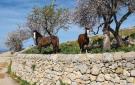 FerienhausItalien - : Nicosia