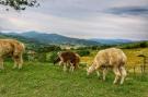 Holiday homeItaly - : Alpaca