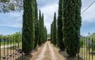 Holiday homeItaly - : Scuolina