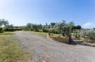 Holiday homeItaly - : Ulivo