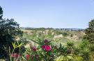 Holiday homeItaly - : Ulivo