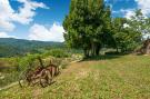 Holiday homeItaly - : Frigino