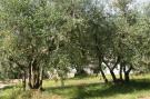 Holiday homeItaly - : Casalini 2