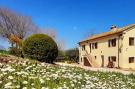 Holiday homeItaly - : Casale degli Ulivi