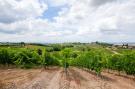 Holiday homeItaly - : Il Poggiale-app6