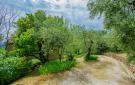 Holiday homeItaly - : Buggiano