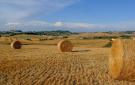 FerienhausItalien - : Volterra