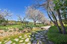 Holiday homeItaly - : Villa Aiola