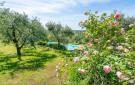 Holiday homeItaly - : Villa Le Selve