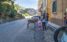 Holiday homeItaly - : Guspini