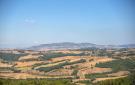 Holiday homeItaly - : Casole D'elsa