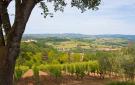 Holiday homeItaly - : Casole D'elsa