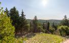 Holiday homeItaly - : Montegabbione TR