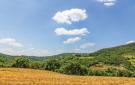 Holiday homeItaly - : Montegabbione TR