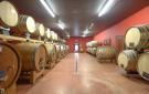 Holiday homeItaly - : Montepulciano