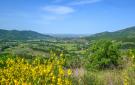 FerienhausItalien - : Castiglion Fiorentino