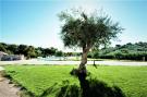 Holiday homeItaly - : Appartamento Familiare