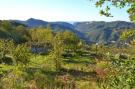 Holiday homeItaly - : Nidino del Gufo