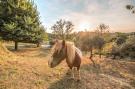 Holiday homeItaly - : Alpaca