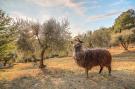 VakantiehuisItalië - : Alpaca