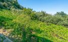 Holiday homeItaly - : San Giovanni Teatino