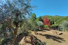 Holiday homeItaly - : Casa Foce