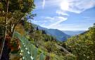 Holiday homeItaly - : "Nel Bosco Felice"