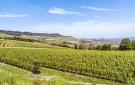 Holiday homeItaly - : Vignale Monferrato