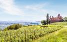 Holiday homeItaly - : Vignale Monferrato