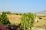 Holiday homeItaly - : Villa Rita 8  [26] 