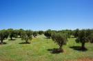 FerienhausItalien - : Ferienhaus Cisternino - Trulli Contrada Pico